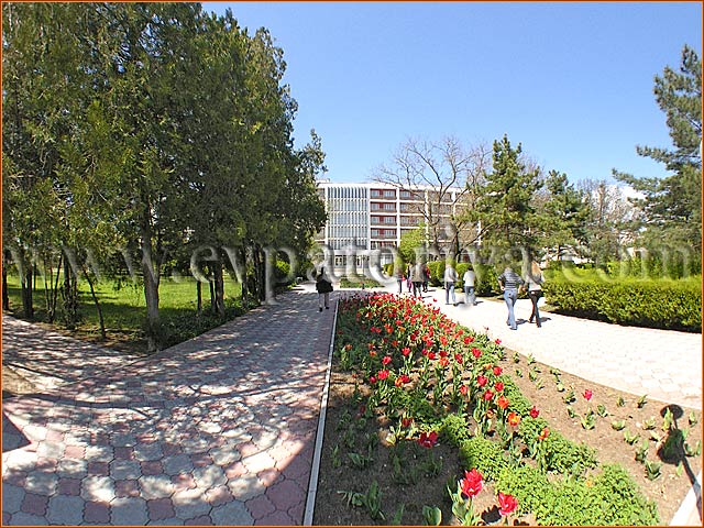 ТОК Евпатория - отдых в Евпатории